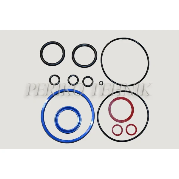 14494-hudrosilindri-z100-tihendikomplekt-z100-1313001-vana-tuup-poluuretaan-438p-.jpg.webp