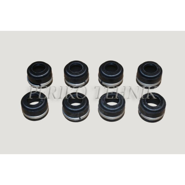 13724-13724_67a9dff8296af0.25259250_240-1007020-klapisaare-tihendite-komplekt-hbr_large.jpg