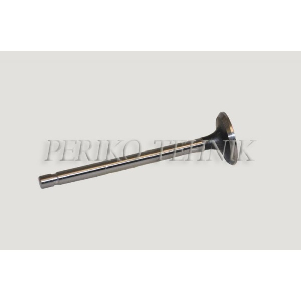 Exhaust Valve A05.09.002