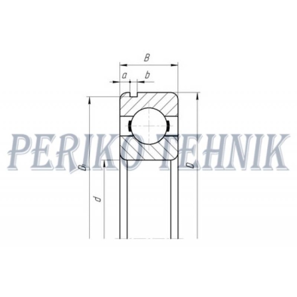 Laager 6009 N (50109)