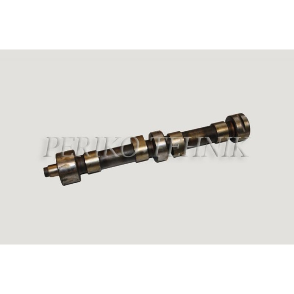 Camshaft D21-1006015-A4