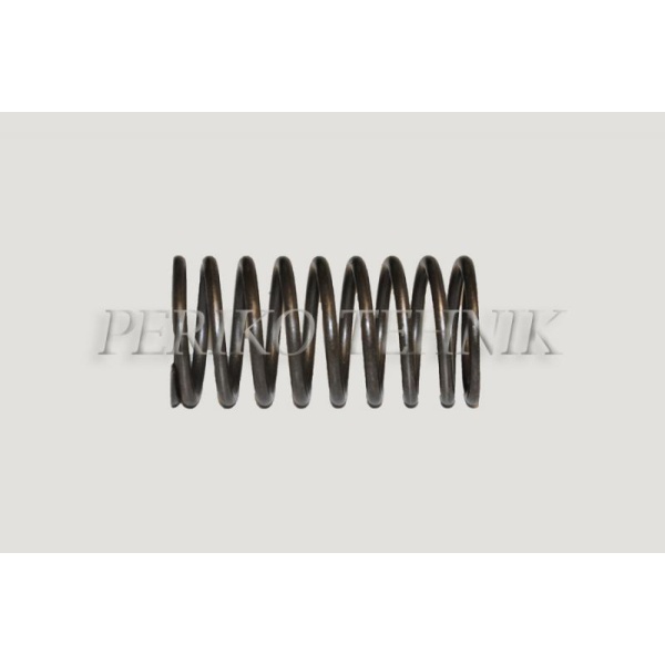 Valve Spring (outer) D37E-1007045-A