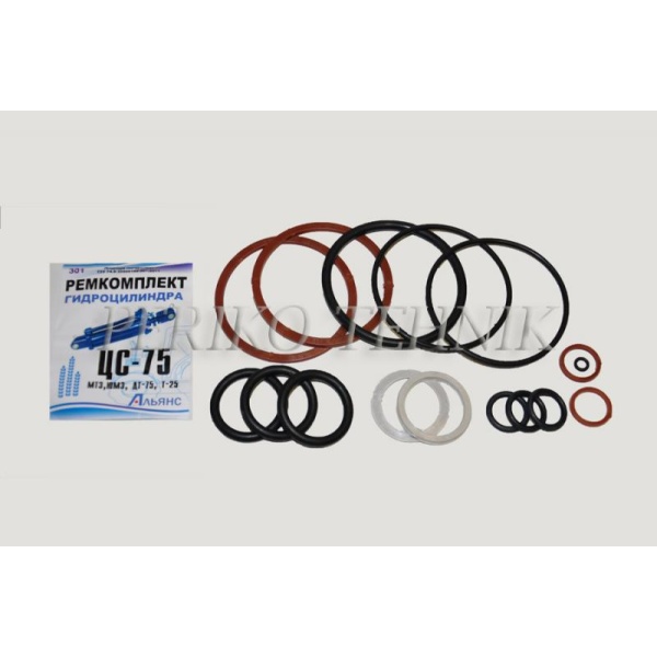 Gasket set for hydraulic cylinder z75