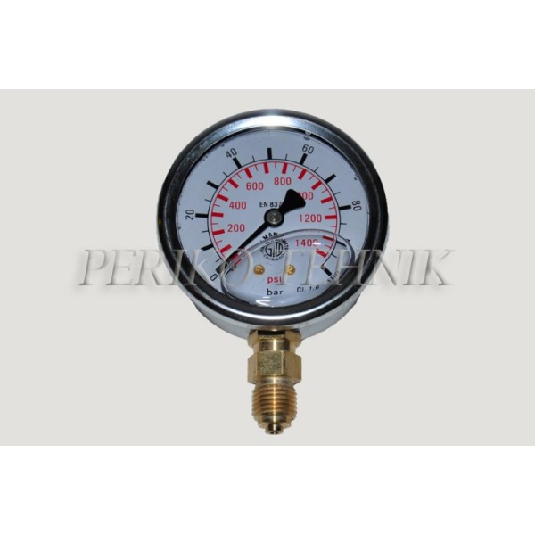 Pressure Gauge DN63 0-100 bar, 1/4" bottom fixing