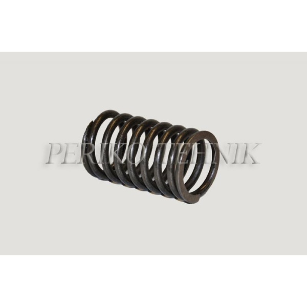 Valve Spring Outer 240-1007045-A1, Original