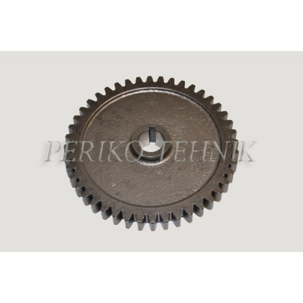 Hydraulic Pump Main Drive Gear Wheel 25.22.103