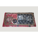 Mootori tihendid T-40, D-144 (kummidetailidega), Ukraina (36364)