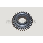 Gear Wheel T16.37.136 (z=31)