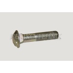 Shield Bolt 1221-3101011 (fine thread), EU