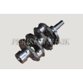 Crankshaft D21-1005007-A3 M12x1,25, Chinease