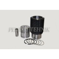 Engine Repair Kit T-40/T-25/T-16, THM, 2 oil rings, NEW TYPE (piston+liner+rings+finger) (THM)