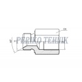 Reducing adapter male BSPP 1/8" - Fixed female BSPP 1/4"