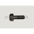 Crankshaft Bolt 50-1005054, Original